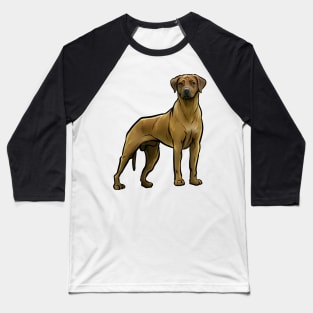 Rhodesian Ridgeback Dog Baseball T-Shirt
